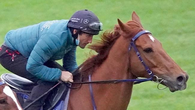 Vow and Declare at trackwork at Flemington. Picture: Scott Barbour/Racing Photos via Getty Images)