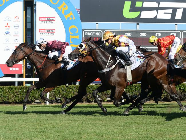 Madotti wins the Vo Rogue Plate on Boxing Day last year. Picture: Grant Peters, Trackside Photography