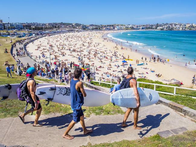 Visiting Bondi can bring a few surprises.