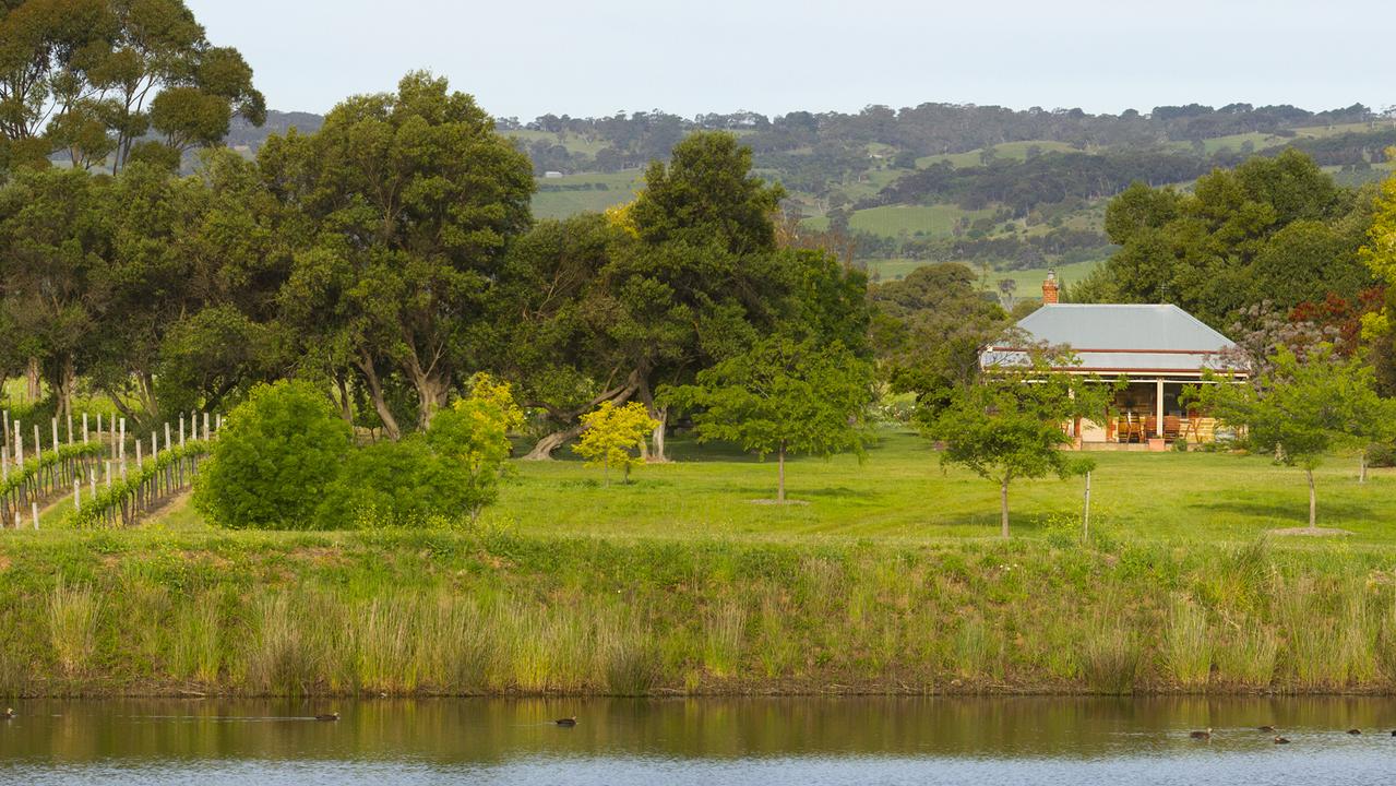 Fox Creek Wines at McLaren Vale debts revealed as buyer sought | The ...