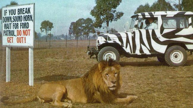 A warning sign at African Lion Safari. Picture: Supplied 