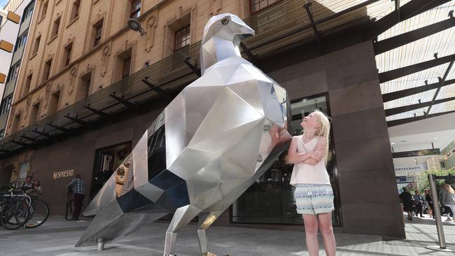 How would the Gawler Place pigeon fare? Picture: Tait Schmaal.