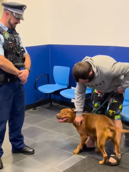 The tail-wagging reunion. Picture: NSW Police