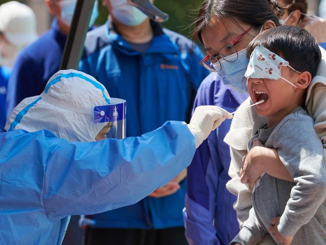 Shanghai’s lockdown, war, floods hits Bega’s profit