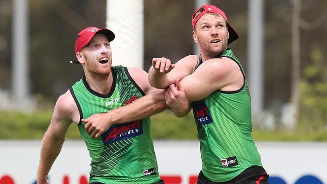 Aaron Francis wrestles with Stringer. Pic: Michael Klein