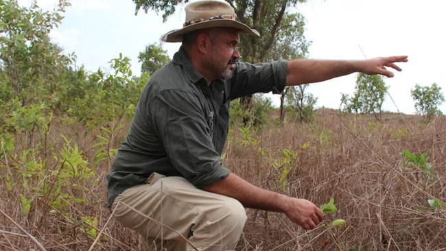 Director of National Parks Ronald Archer.