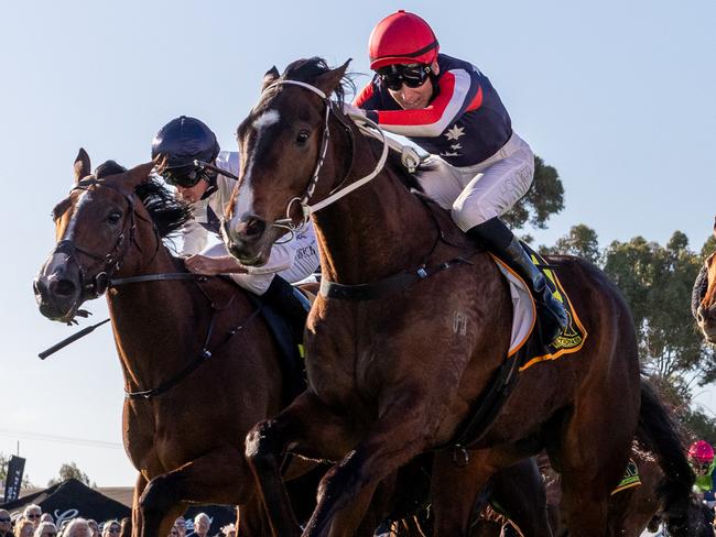 Air Assault wins the Balaklava Cup earlier this month. Picture: Makoto Kaneko