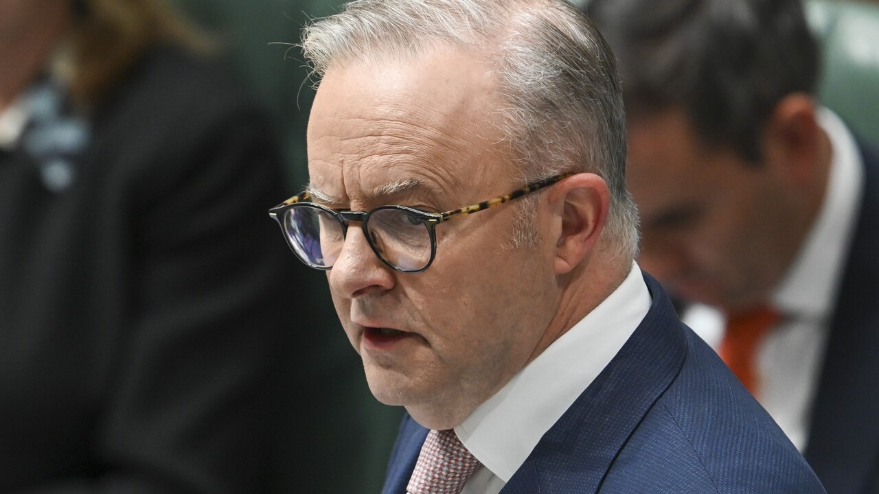 Anthony Albanese criticised over Tourette’s comment during Question Time