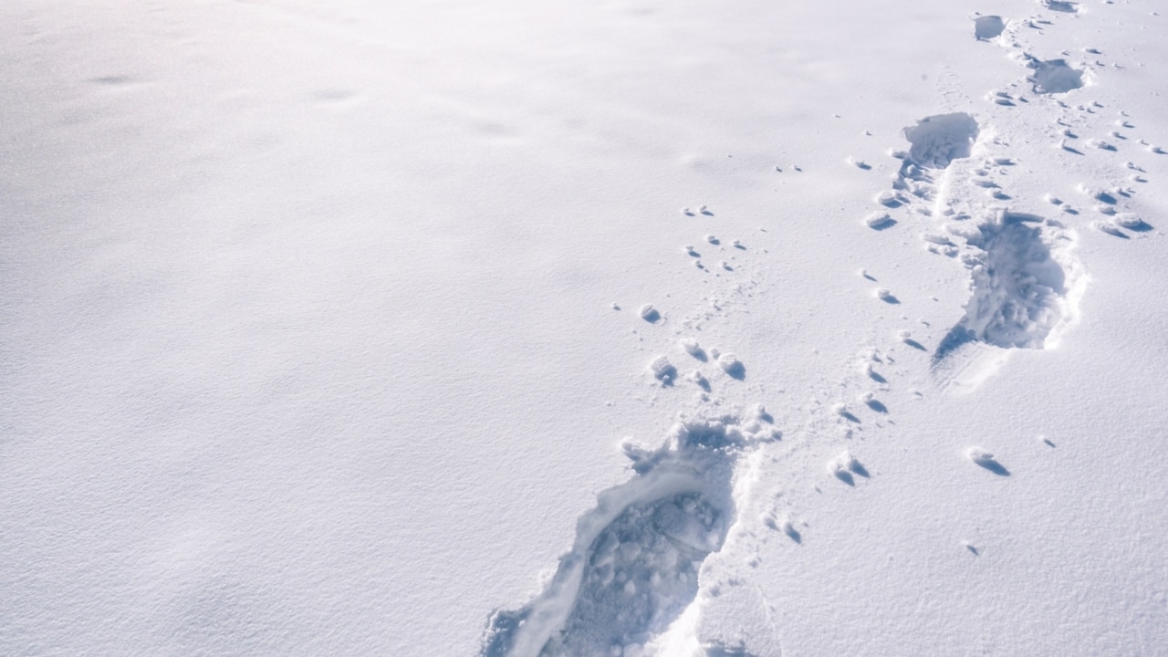 Record-breaking snowfall for Mt Buller over long weekend