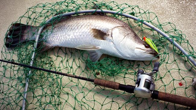 A man was fined $200 after being caught fishing without a licence at Balmoral.