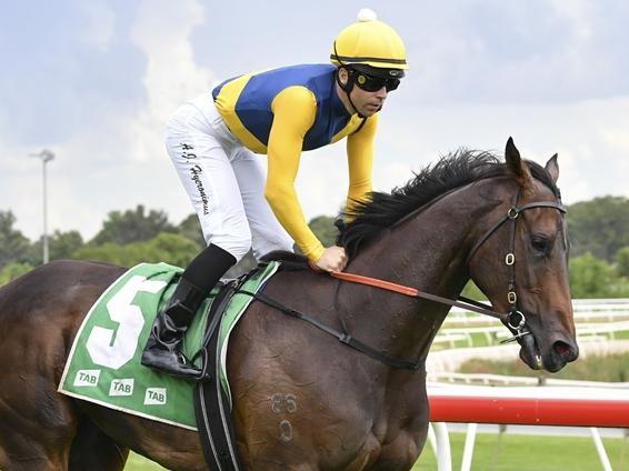 Hawkesbury, 13 February 2024, Winner - Bonita Queen, Jockey - Adam Hyeronimus. Picture: Bradley Photos