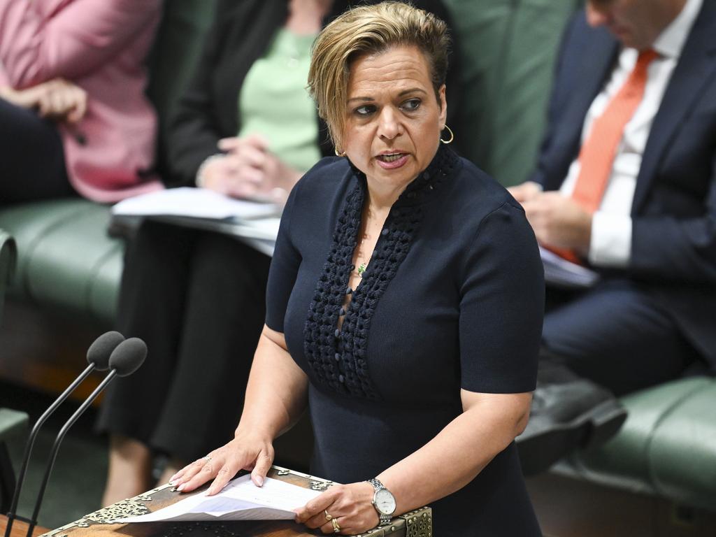 Communications Minister Michelle Rowland said users would not have to pass over personal data to use the social media platforms. Picture: NewsWire / Martin Ollman