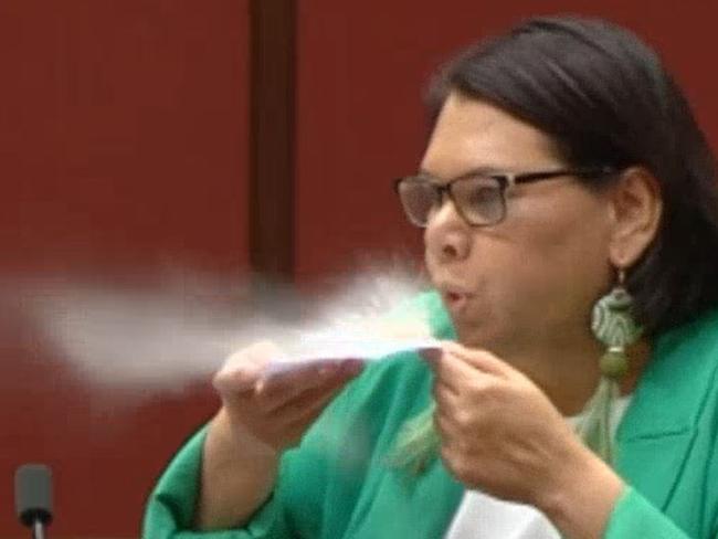 Greens Senator Dorinda Cox, newest member of an Albanese stack out of the Joint Standing Committee on Aboriginal and Torres Strait Islander Affairs, blew an undisclosed white powder over the leather upholstery of what is known as “the most exclusive club in Australia” this week with zero repercussions.