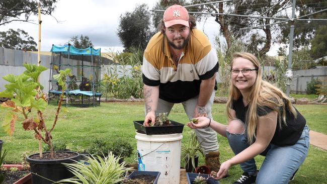 Shaytana Annells and her partner Haiden Stephan are renting in Elizabeth South and would one day love to buy in the area. Picture: Dean Martin