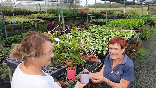 Salvation Army Garden Centre manager Lorraine Doglione (right) helps Ipswich resident Jenny Chapman choose the right plants for her garden.