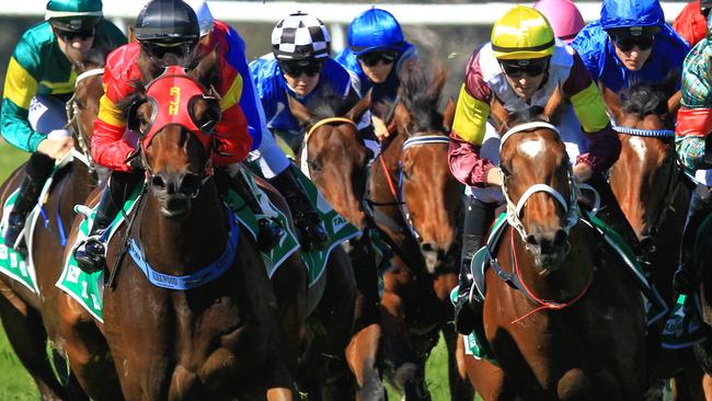 Loving home ridden by Tye Angland  (yellow cap, maroon with yellow armbands) wins race 1 during Scone  Races located in the Upper Hunter Region of NSW. The Bend . Pic Jenny Evans