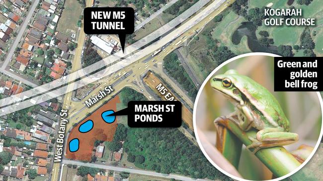 A map showing ponds built to help the preservation of the Green and golden bell frog during construction of the West Connex.