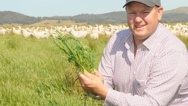 Feeding the flock: Jason Trompf checks on the pasture growth.