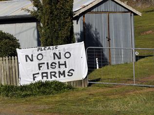 An anti-fish farm sign on the highway into Orford.