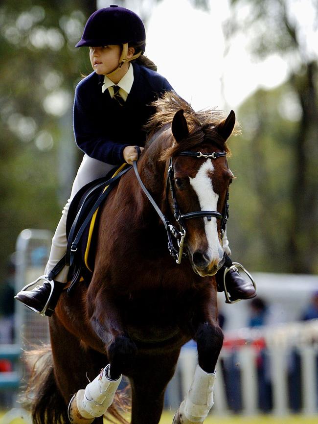 The Hills District Pony Club could be relocated. Picture: Darren Edwards