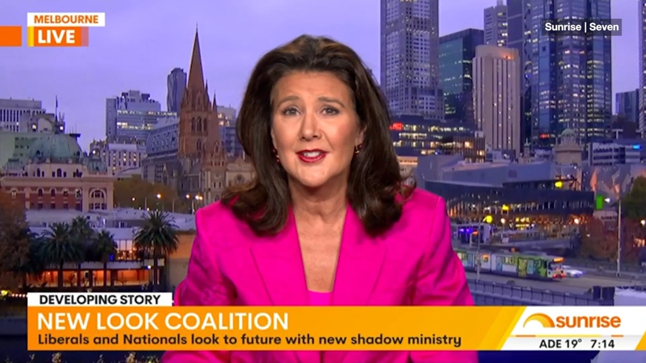 Hume felt 'hurt' by Sussan Ley move