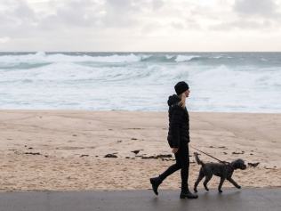 SYDNEY, AUSTRALIA - NewsWire Photos October 27, 2020: A woman walking a dog along the shoreline at Bronte Beach, Sydney. Picture: NCA NewsWire / James Gourley