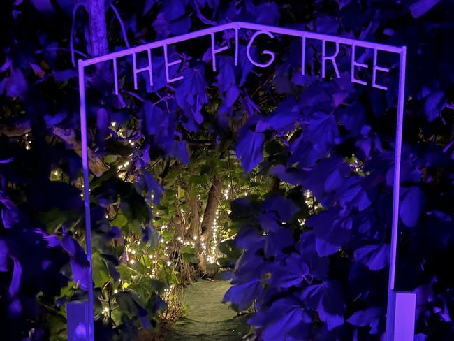 Entrance at The Enchanted Fig Tree, Kangaroo Island Picture: Supplied