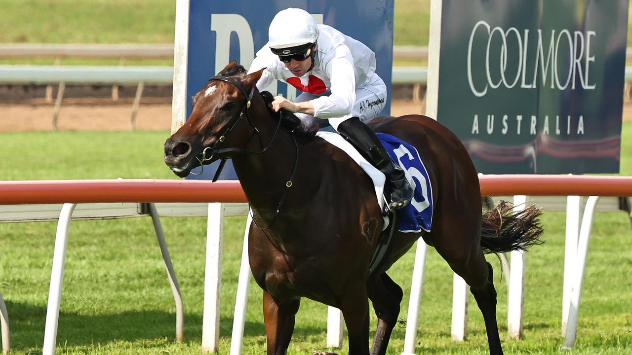 Stakes success for filly on her way to Stardom