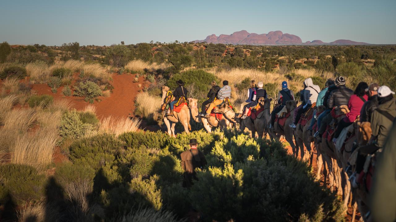 Kata Tjuta seen on the horizon during a Uluru Camel Tours' sunrise ride around Uluru-Kata Tjuta National Park. Picture: Matt Glastonbury/Tourism NT