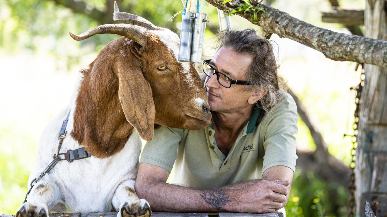 Bruce the goat, pictured with his owner Craig Smith, has been named Toowoomba's quirkiest pet in The Chronicle's online poll, Monday, May 2, 2022. Picture: Kevin Farmer