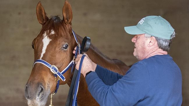 Gytrash with trainer Gordon Richards after arriving in Sydney from South Australia. Picture: Ashlea Brennan