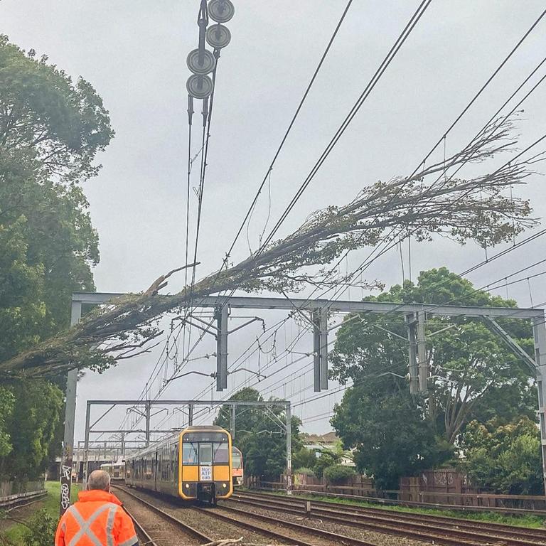 A tree over the train line at St Peters. Picture: Supplied