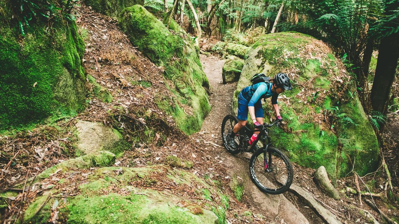 A rider on the Atlas Trail near the mountain bike capital of Derby, in Dorset. Just one of the many reasons to head north. Picture: BLUE DERBY PODS RIDE