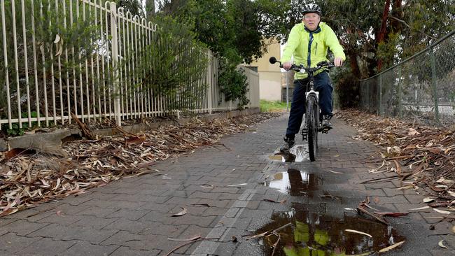 Works to upgrade the Mike Turtur Bikeway between Musgrave Street and King William Road are expected to be finished by June. Picture: Naomi Jellicoe