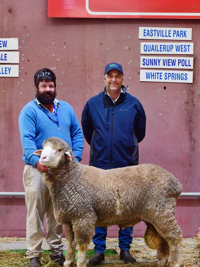 Phil Jones from Bruce Rock WA with Joe Murdoch north Cowie SA and Poll Merino ram. Picture: Zoe Phillips