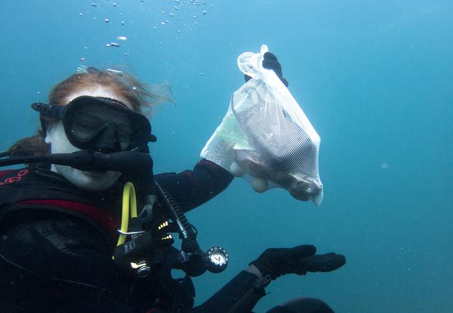 The UNSW Under Water Club conducts clean-up dives along the Sydney coast. Picture: supplied.