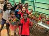 The community program aiming to reduce diabetes rates in remote NT