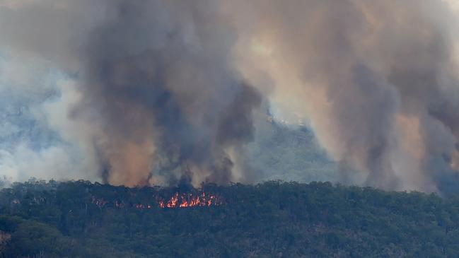 Barossa Helicopters for a fly over the Cudlee Creek and Adelaide Hills bushfire zone. A fire continues to burn near Birdwood in on November 23, 2019. Picture: Naomi Jellicoe