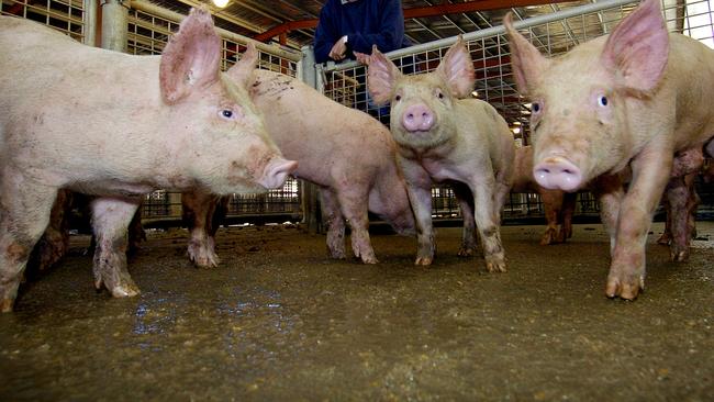 SunPork is Australia’s largest pork producer with 9.9 per cent of the market, according to IBISWorld.