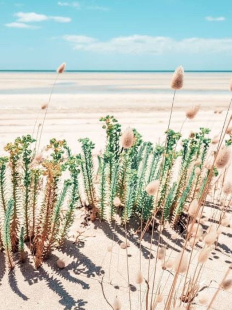 One Aussie photographer says Flaherty’s Beach is the best in the country.