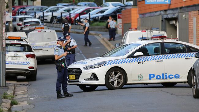 The police operation to recapture the baboons. Picture: Christian Gilles