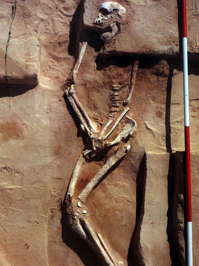 The skeleton of an Aboriginal man found at Lake Mungo in 1974.