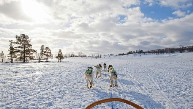 Dog sledding is another option for visitors.