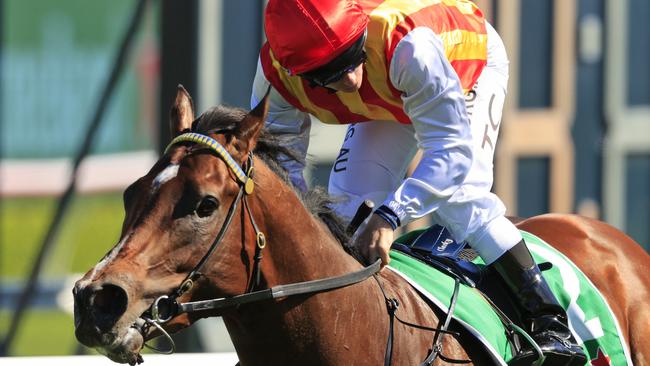 Peltzer is unbeaten in three starts at Royal Randwick. Picture: Getty Images