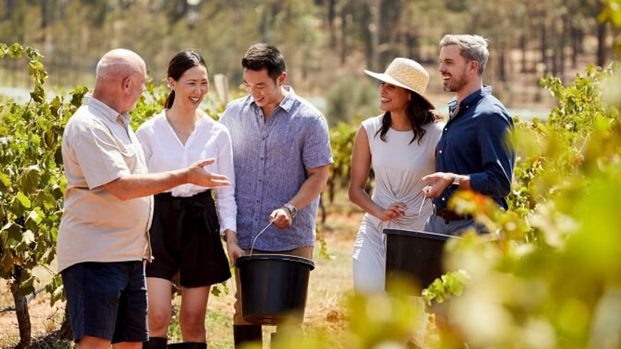 The horse and cart tour is a unique way to experience the Hunter Valley wine region. Picture: Destination NSW.