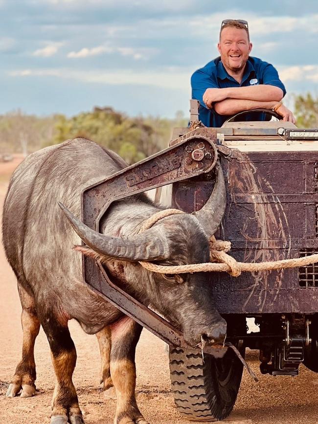 Andrew “Cosi” Costello and crew caught a feral bull, but his charity needs young female buffalo. Picture: Supplied