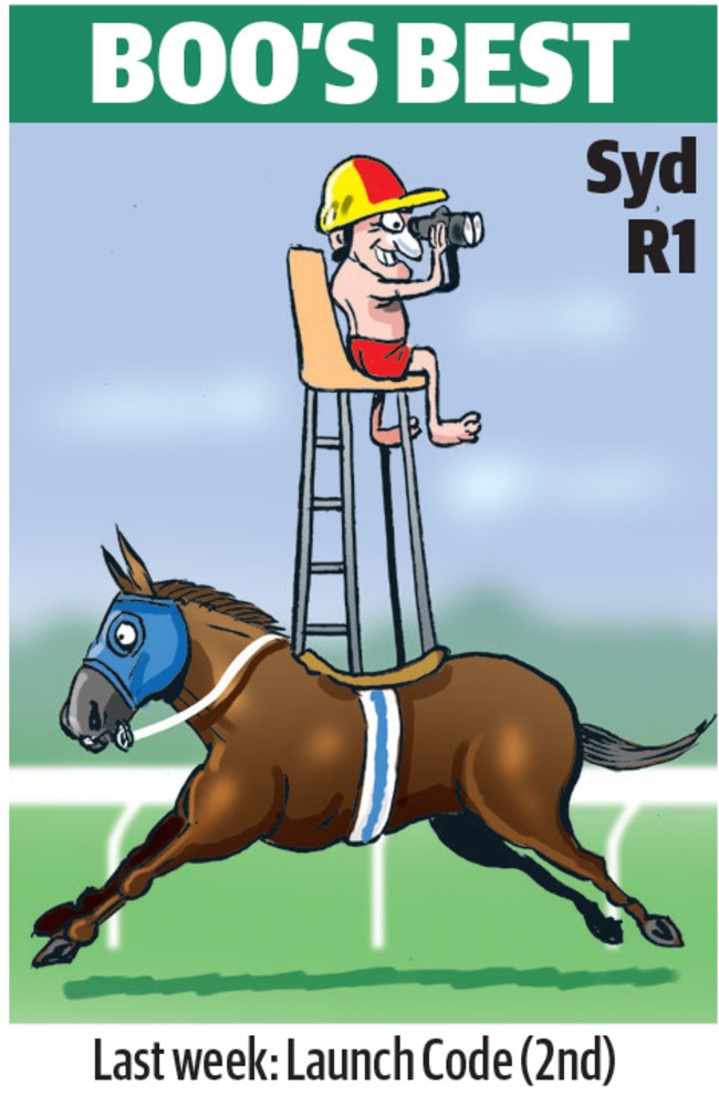 Boo Bailey's cartoon tip for Rosehill