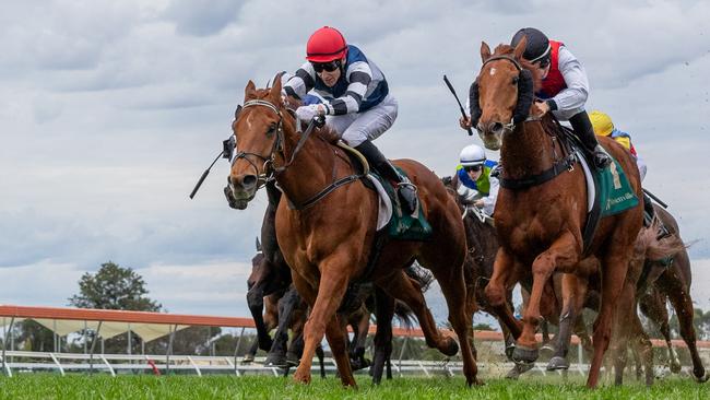 The Guava (left) holds off a gallant Sir Kingsford. Picture: Makoto Kaneko