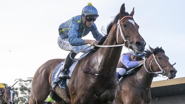 GOSFORD, AUSTRALIA - MAY 07: Jay Ford on Rustic Steel wins race 9 the The Coast during Gosford Gold Cup Day at Gosford Race Club on May 07, 2022 in Gosford, Australia. (Photo by Jenny Evans/Getty Images)