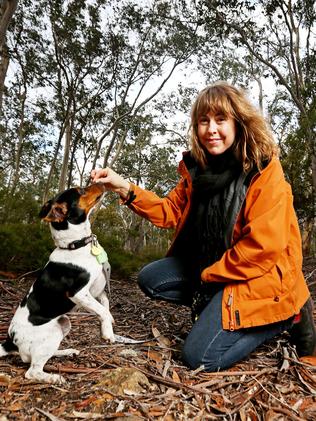 TasWeekend: Author discovers animals instincts | The Mercury